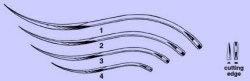 Picture of product Double Curved Needles - 1295